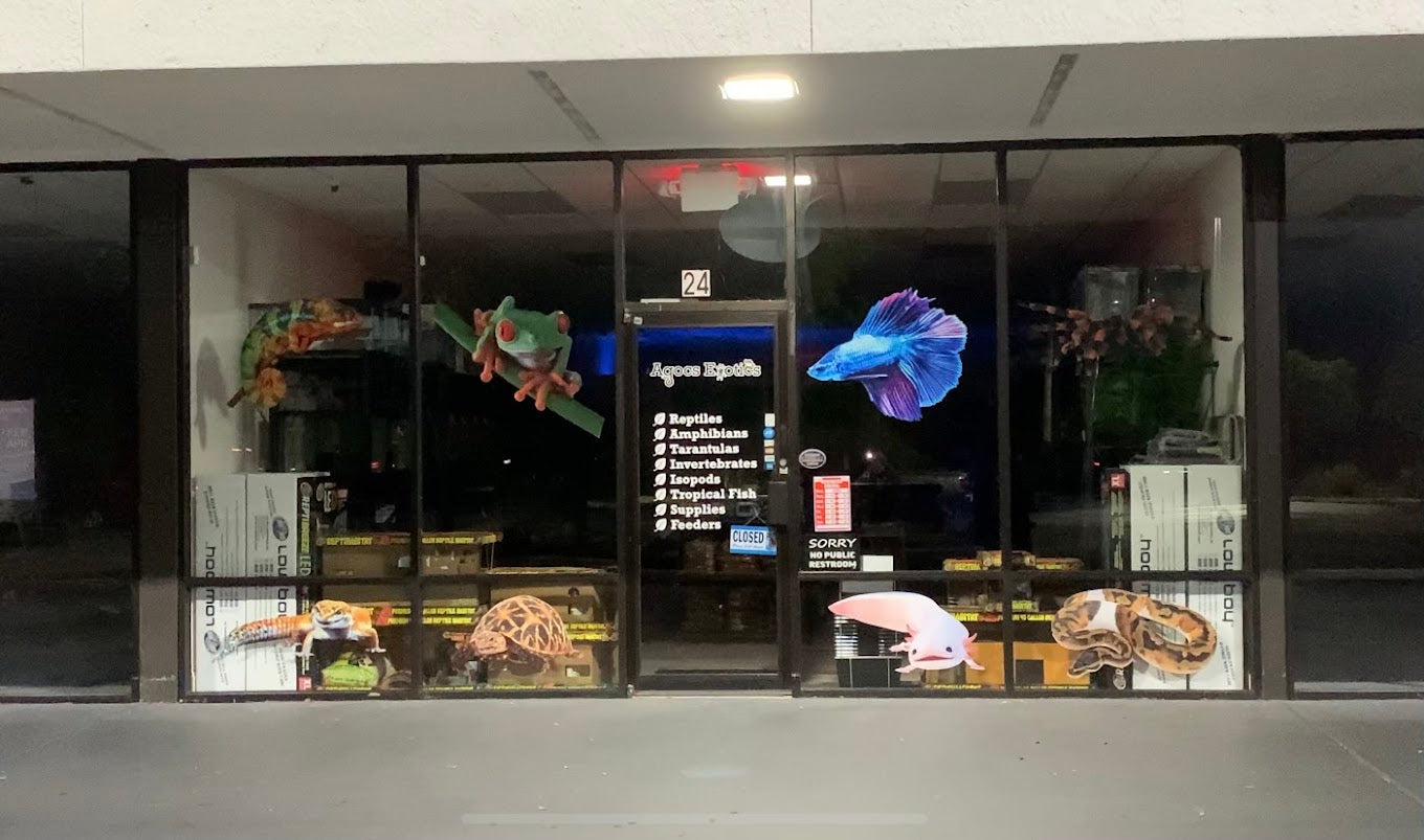 Agocs Exotics