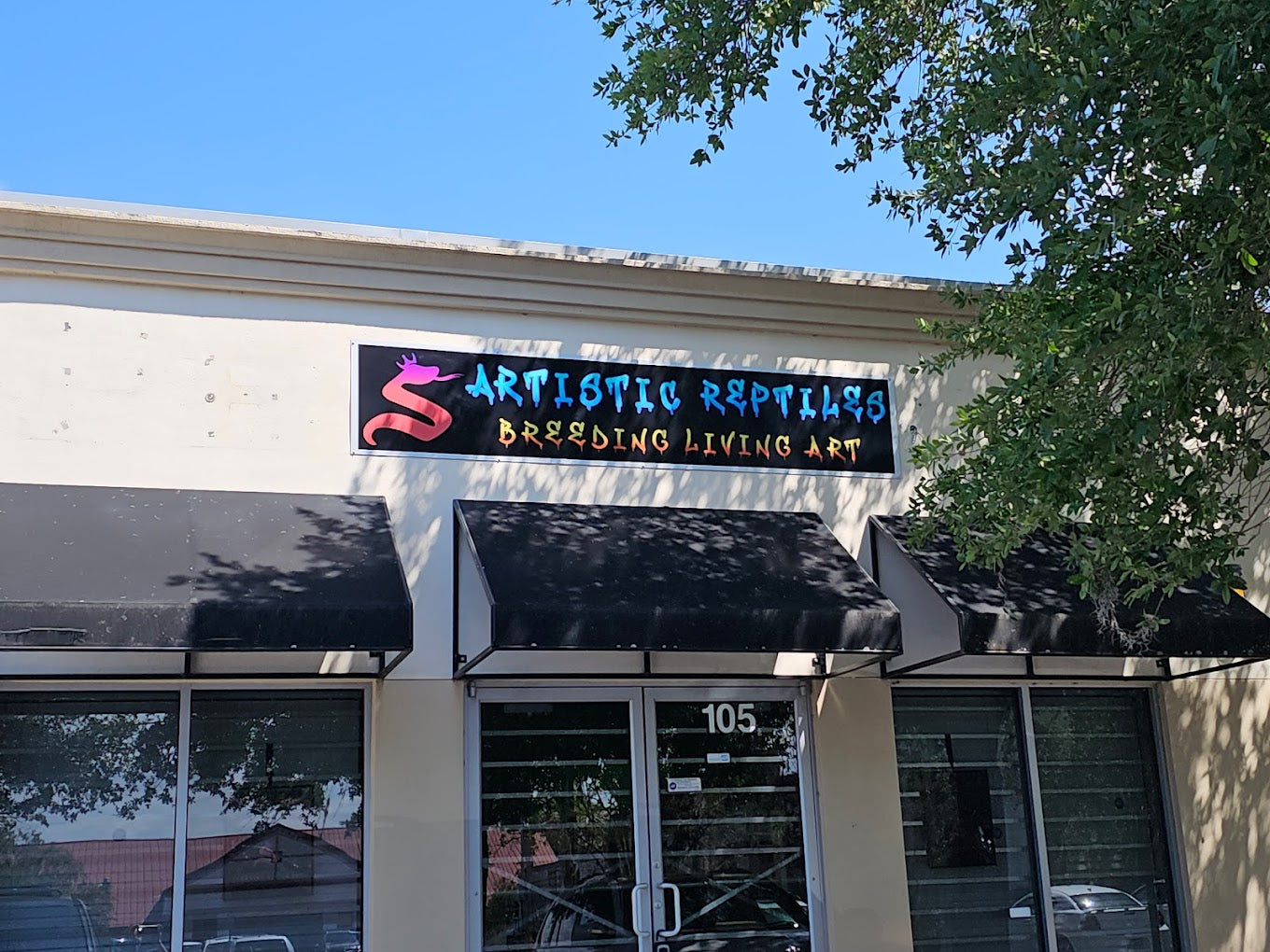 Artistic Reptiles