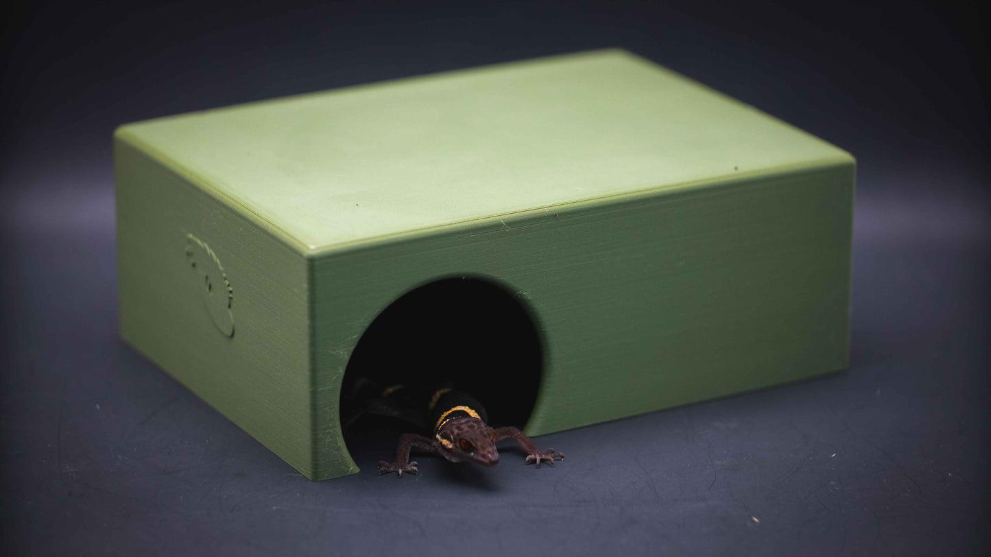 Cave Gecko Hide