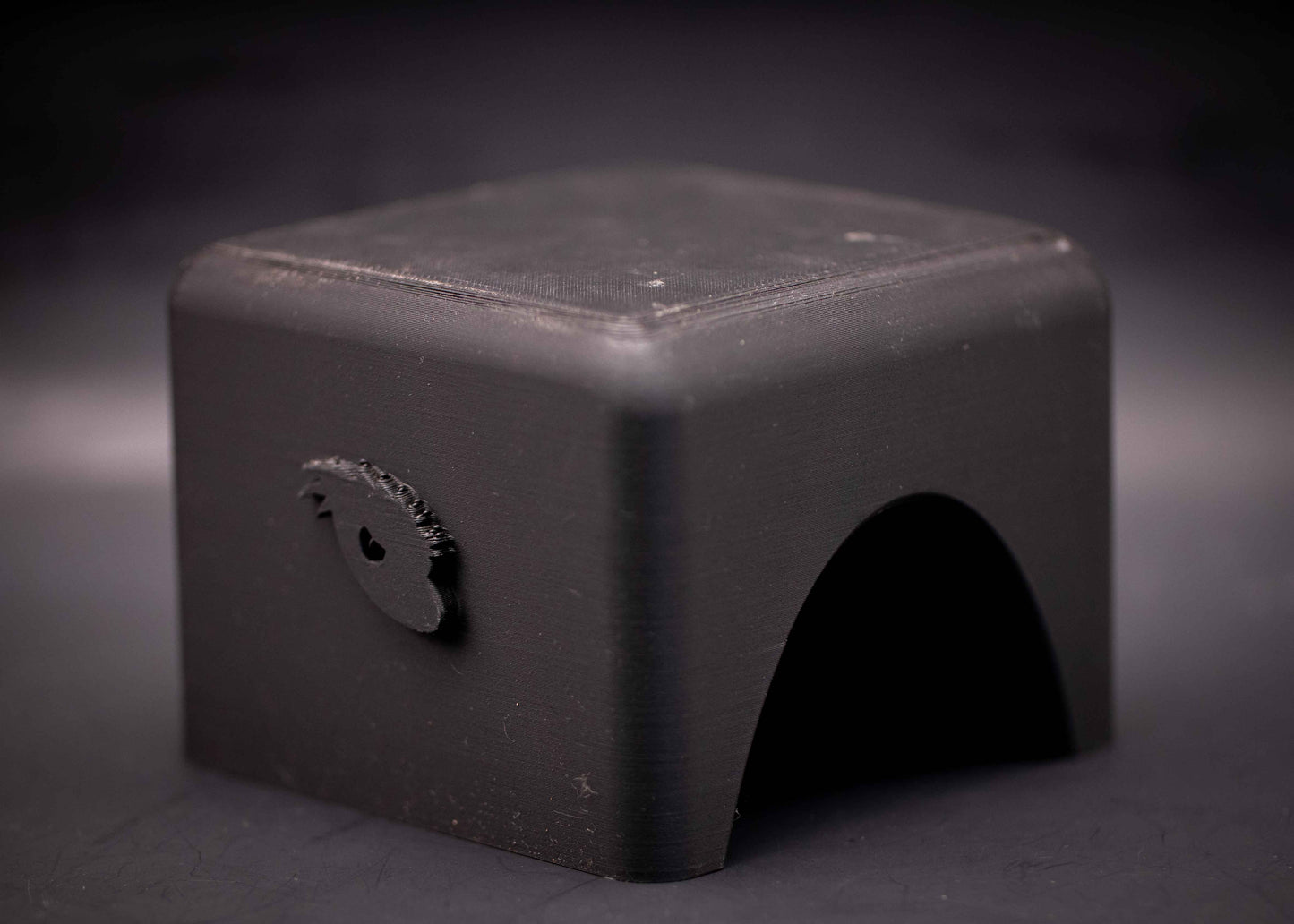 Gecko Cave Hide