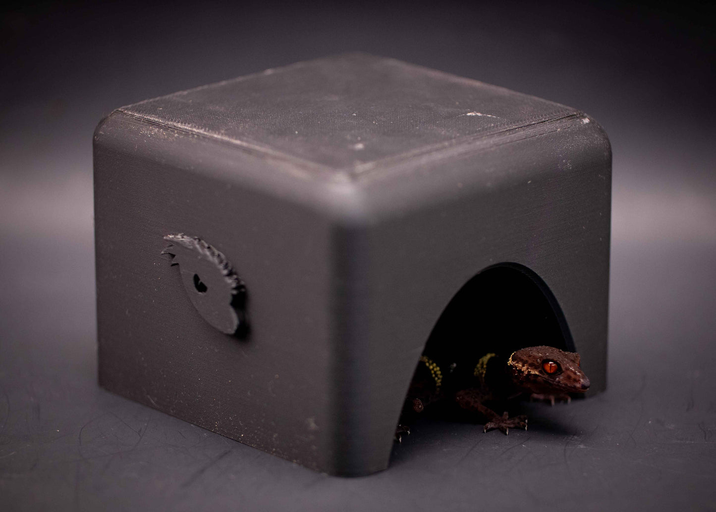Cave Gecko Hide