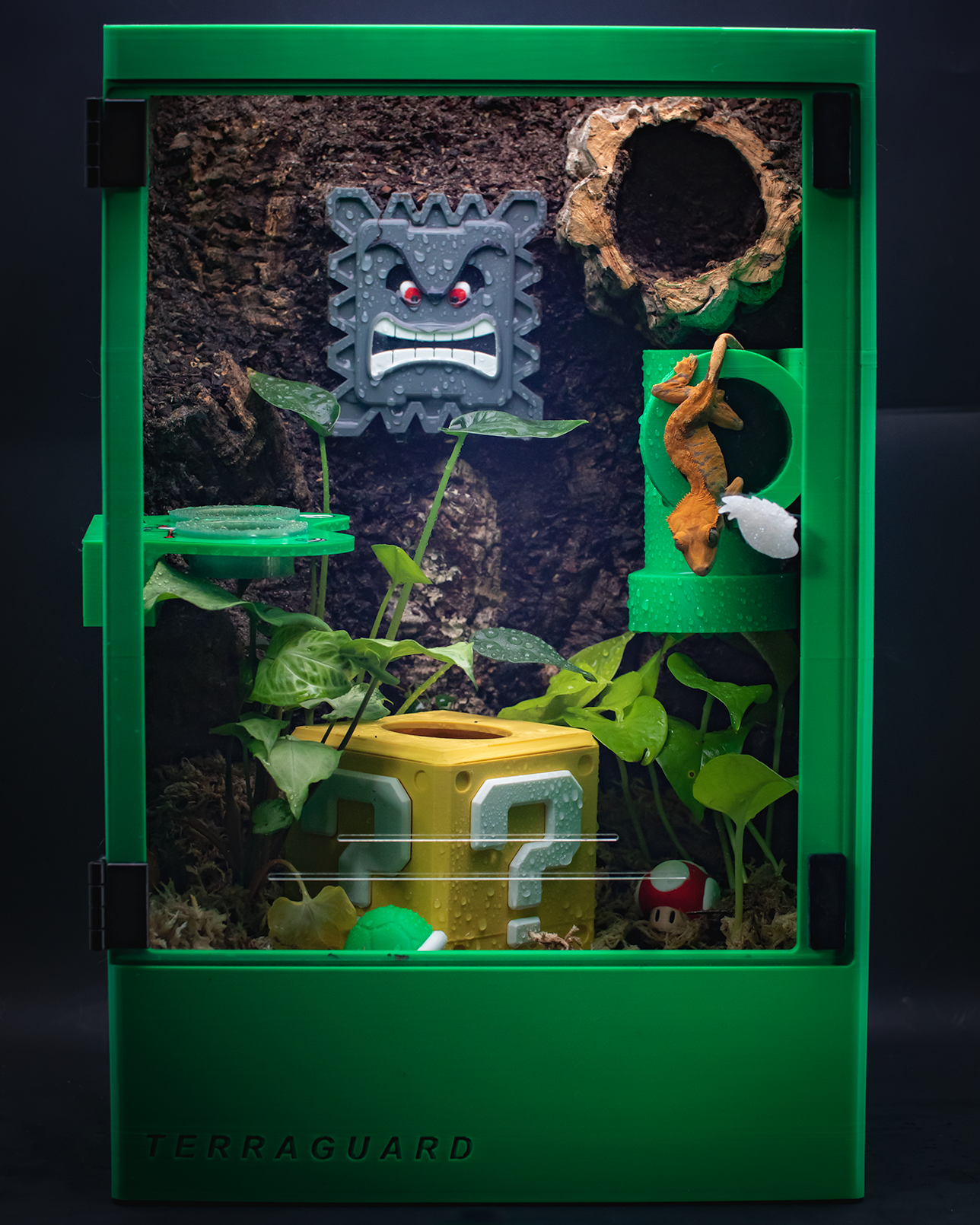 Custom Gecko Enclosure - Mario