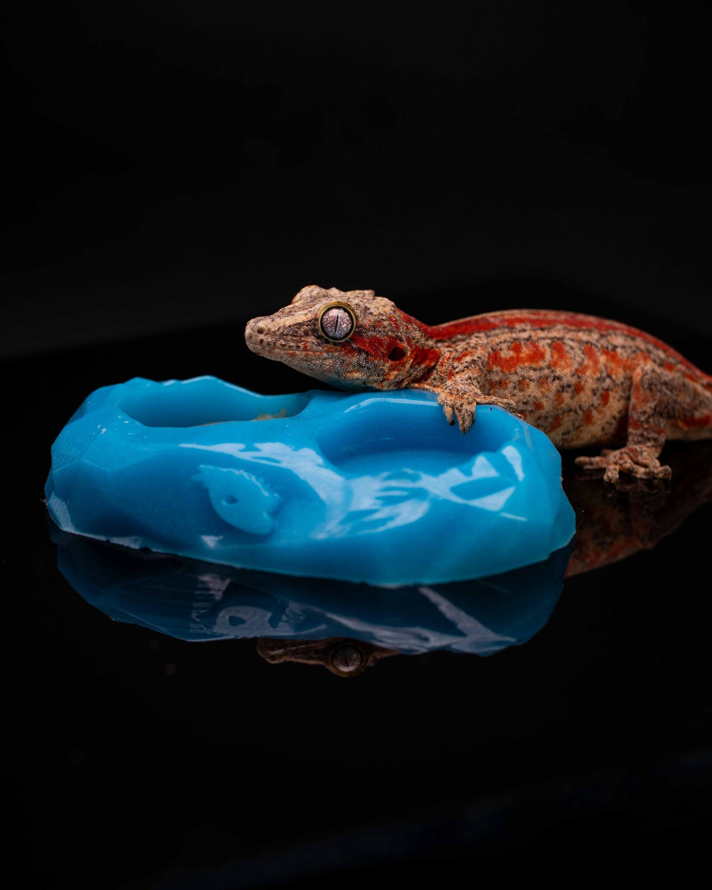 Limited Edition GLOW Reusable Medium Silicone Feeding Dish