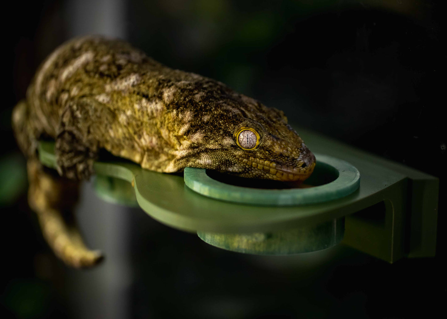 The Guardian Ledge - Large