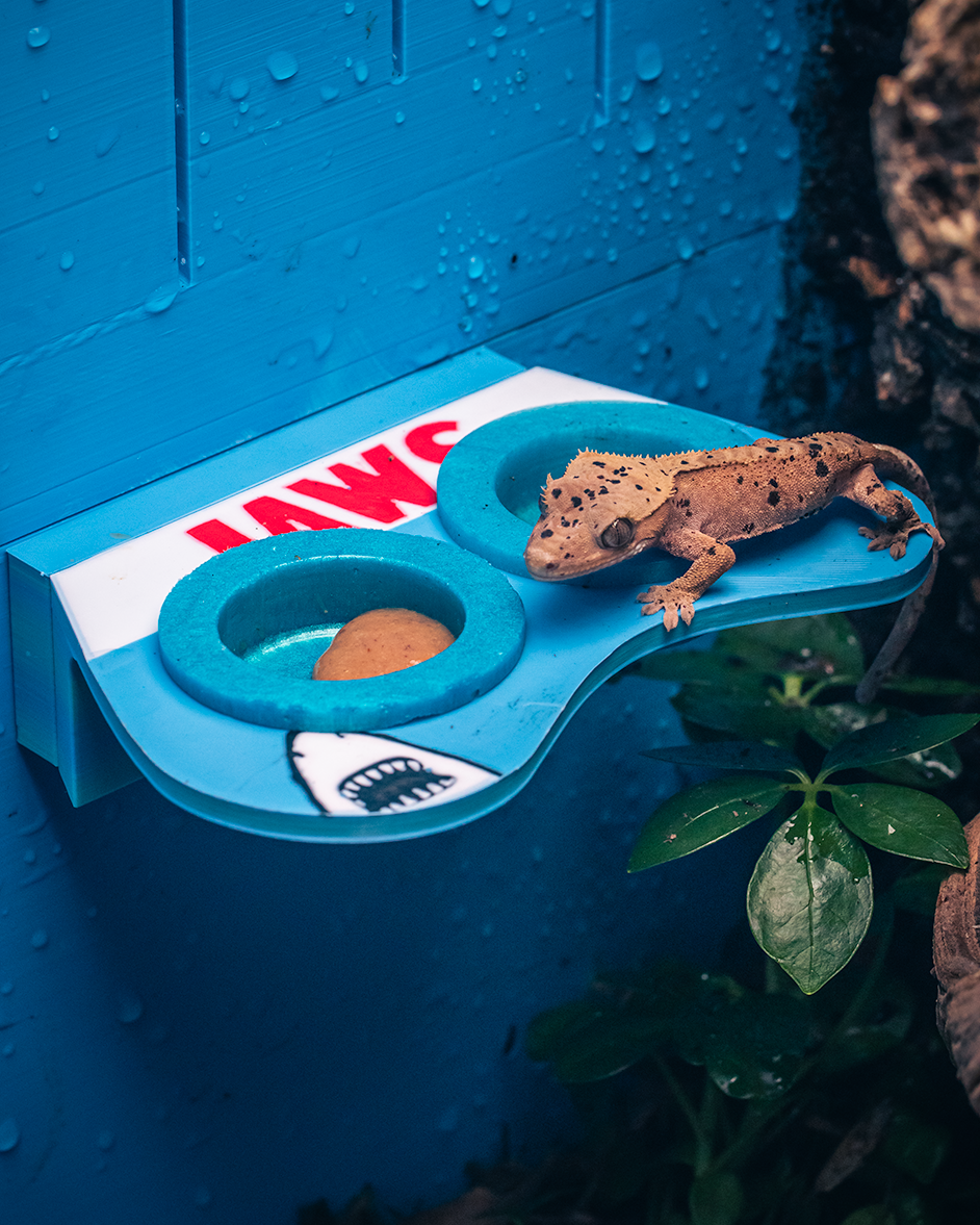 Themed Magnetic Feeding Ledges - 🦈 Feeding Frenzy – The Blockbuster Magnetic Ledge