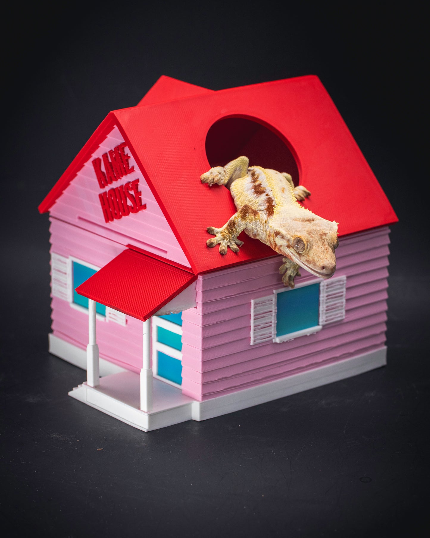Island Dojo Humid Hide – A Legendary Retreat for Your Gecko!