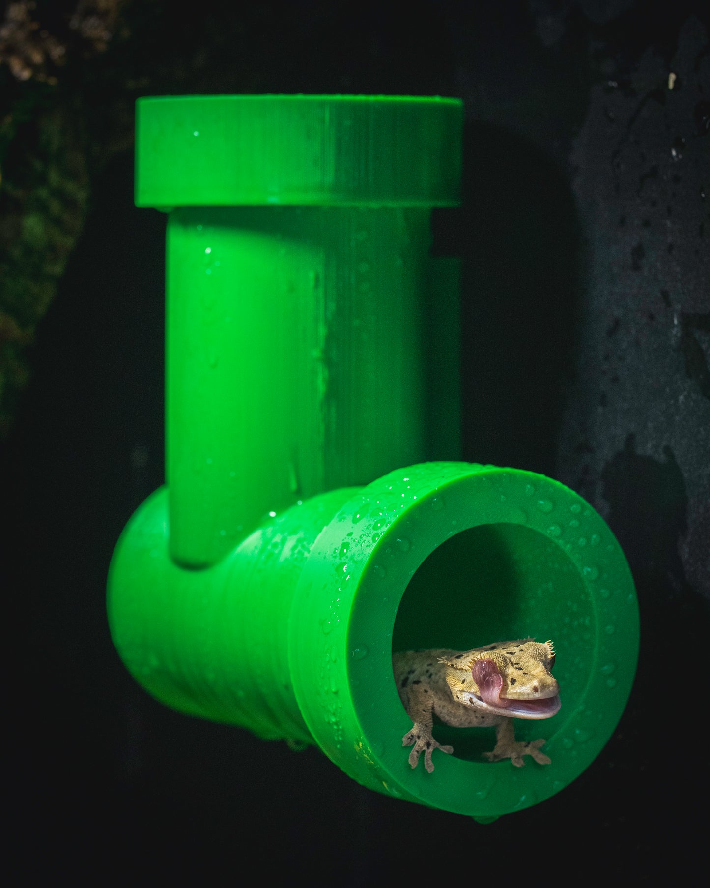 Magnetic Green Pipe Hide – Elevate Your Gecko’s Adventure!