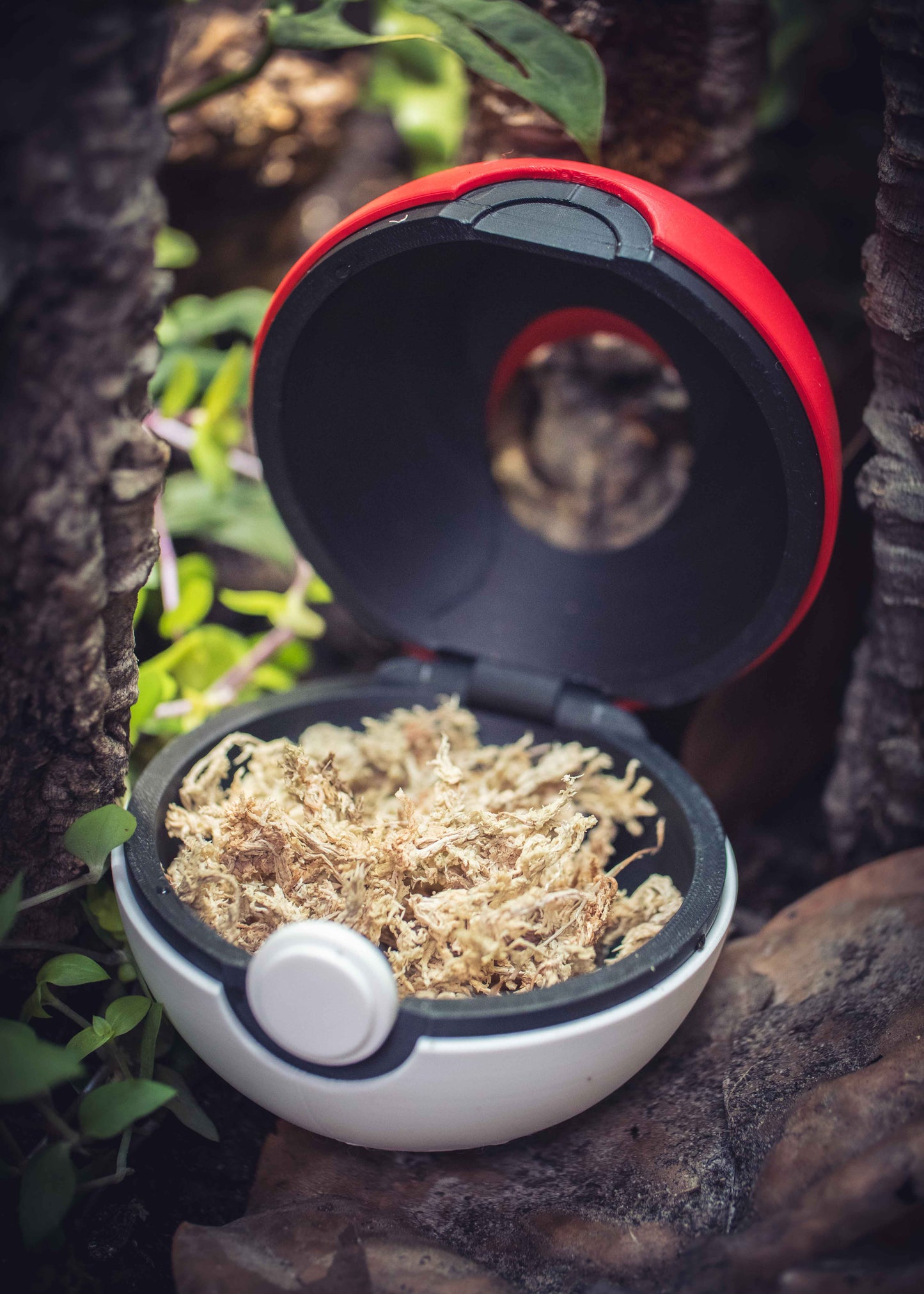 The Poke Hide -Themed Crested Gecko Hide / Egg-Laying Bin