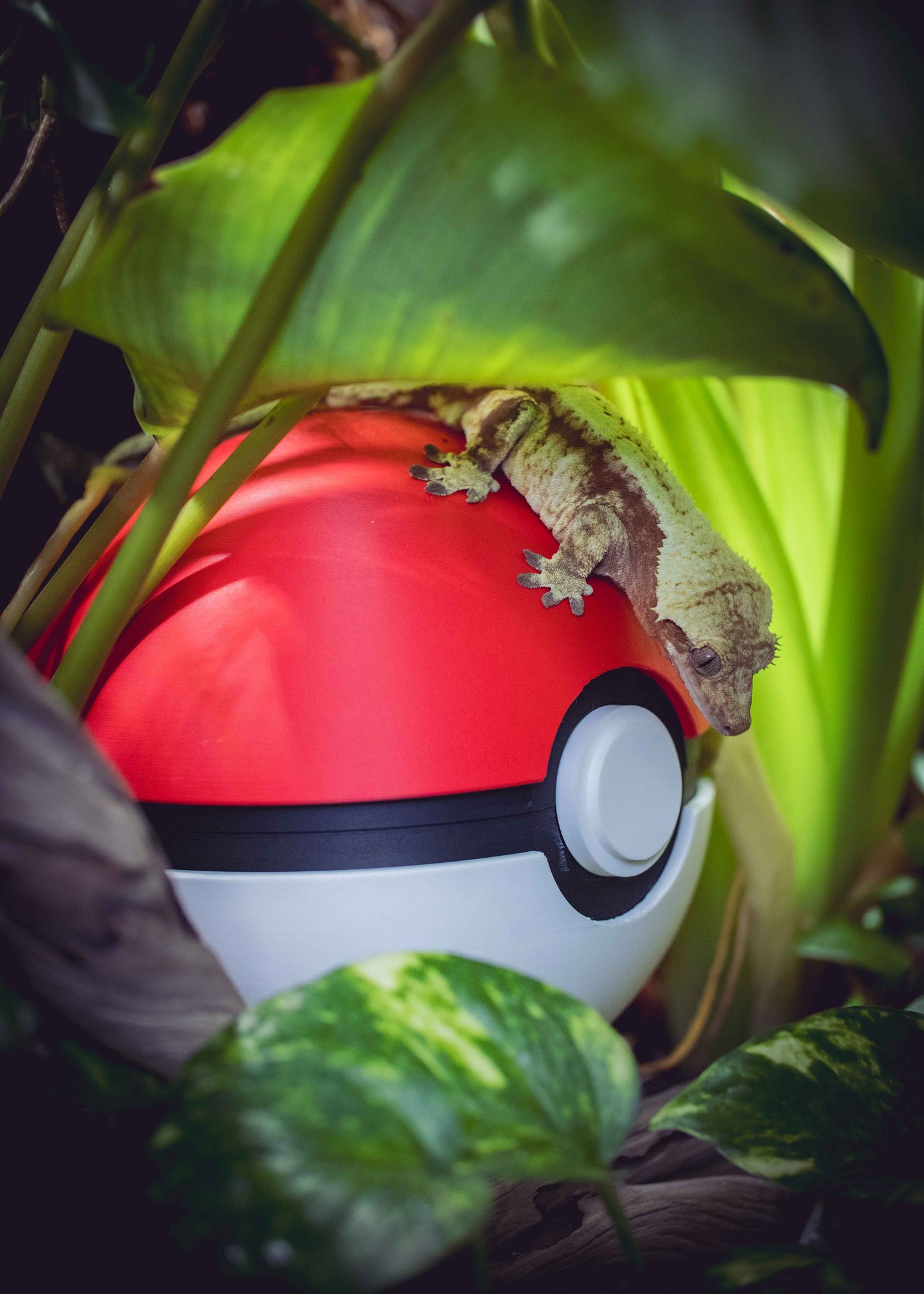 The Poke Hide -Themed Crested Gecko Hide / Egg-Laying Bin