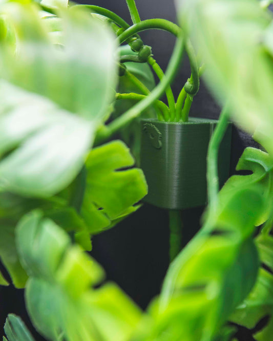 MagnaVine Plant Mount - Because suction cups suck!