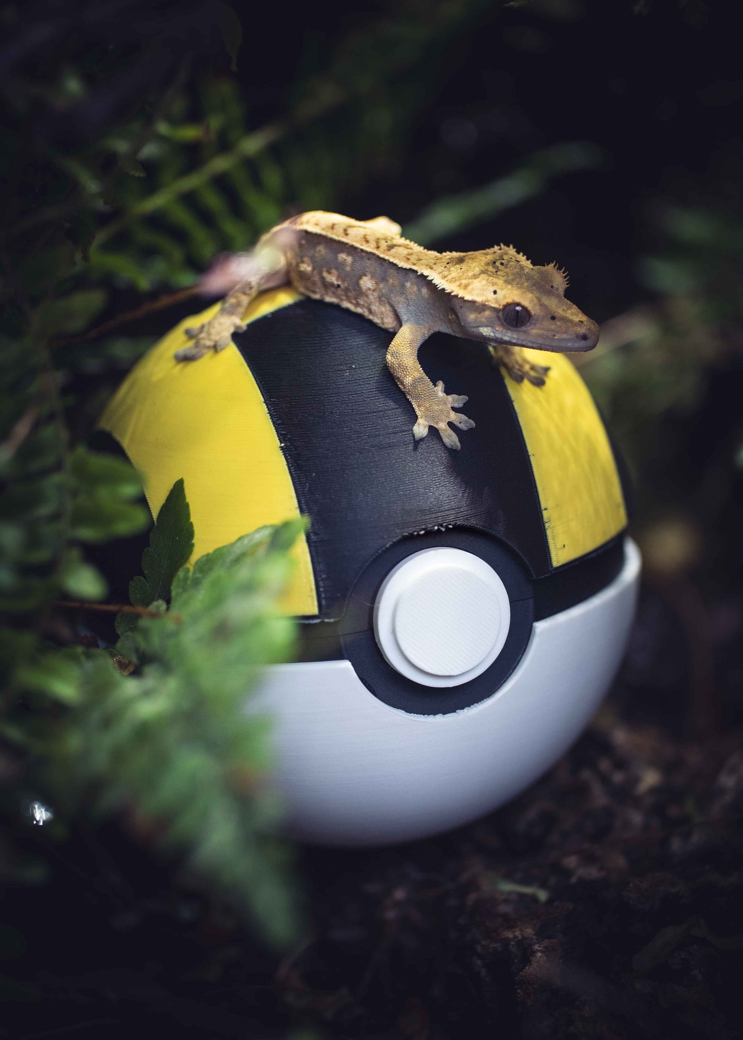 The Poke Hide -Themed Crested Gecko Hide / Egg-Laying Bin