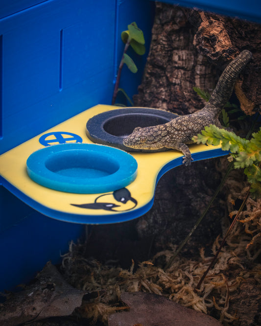 Themed Magnetic Feeding Ledges - Custom Designs: Heroic Icons