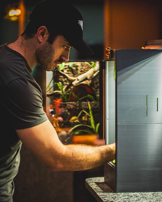 How to Set Up the Perfect Gecko Enclosure (Step-by-Step Guide for Beginners)