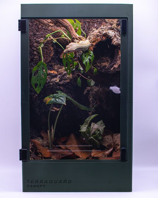TERRAGUARD HABITATS - Premium Crested Gecko / Arboreal Reptile Enclosures
