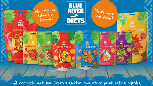 Blue River Diets - Mango Madness