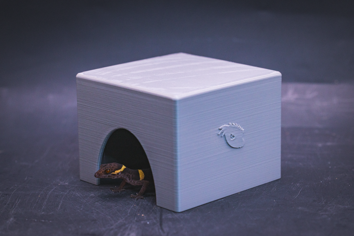 Small gray PETG gecko cave hide with Cave Gecko emerging from entrance