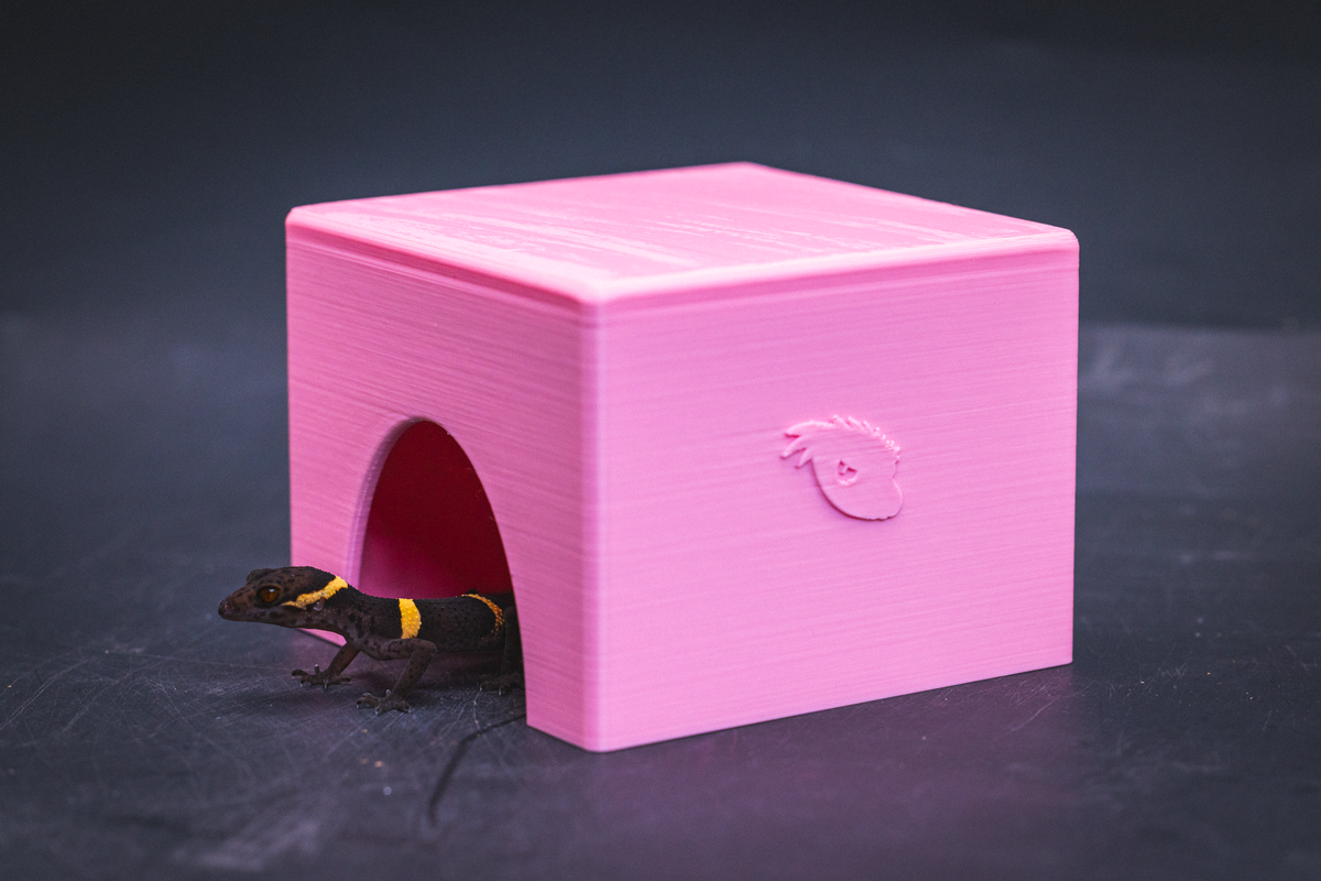Small pink PETG gecko cave hide with Cave Gecko emerging from entrance