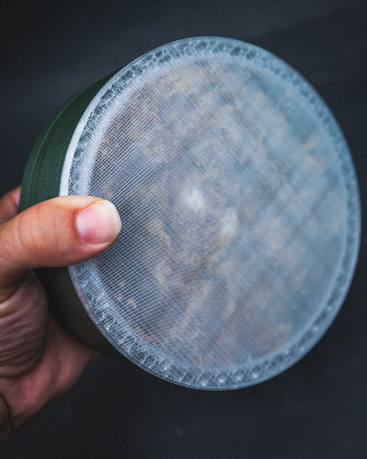 Transparent bottom Crested Gecko egg laying bin for checking eggs without opening hide