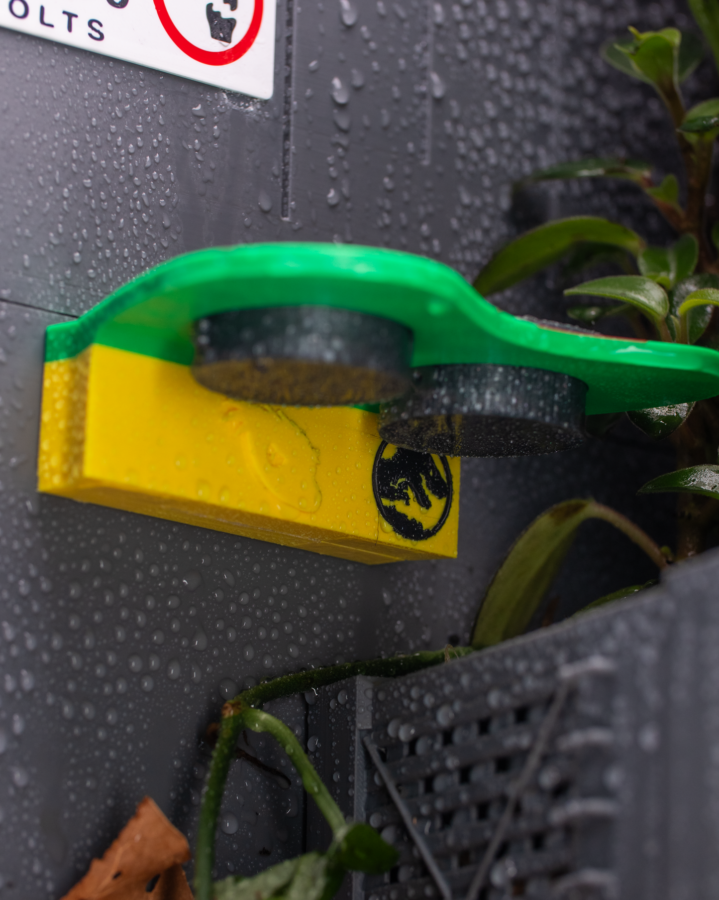 Themed Crested Gecko Magnetic Feeding Ledges - Prehistoric Edition