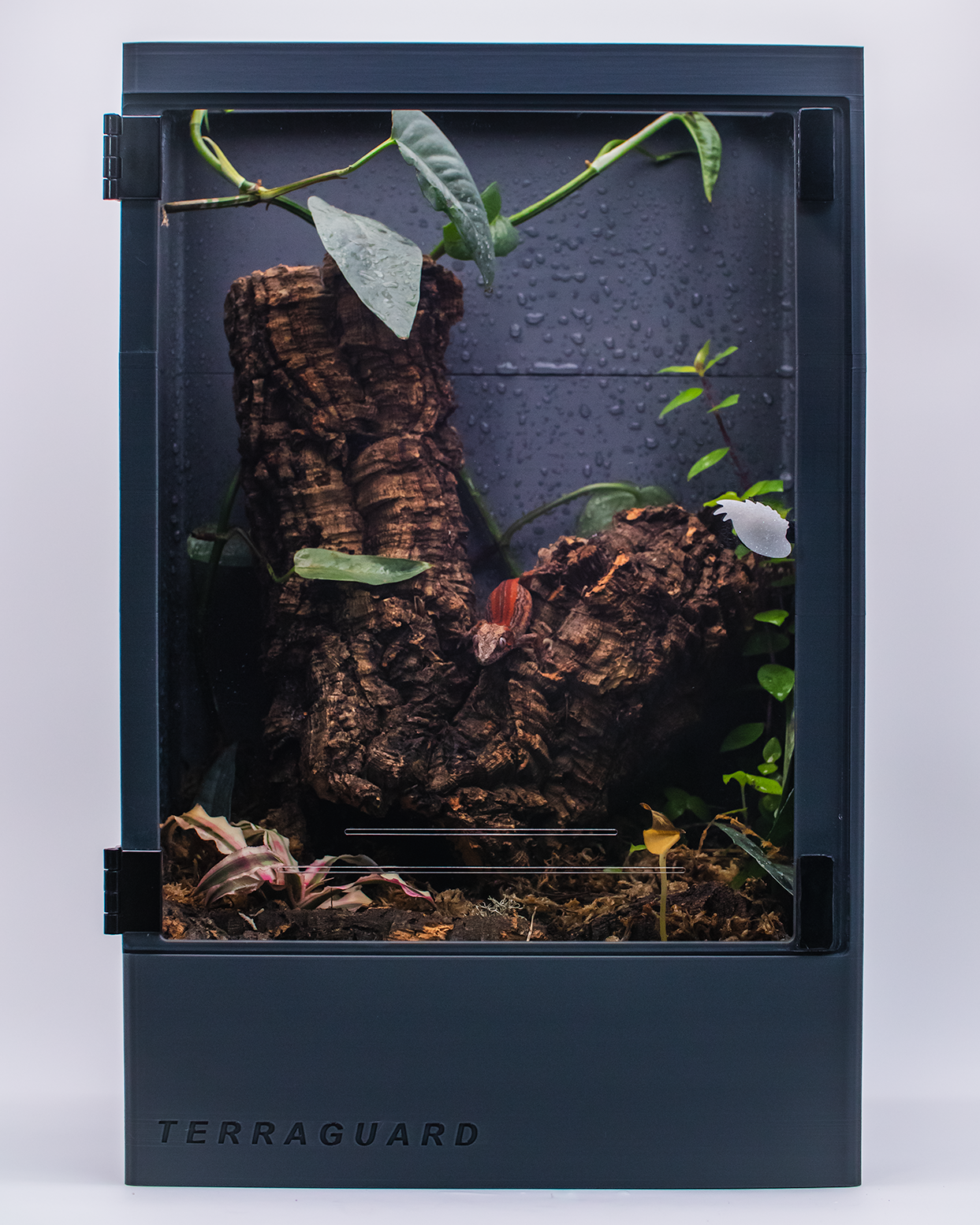 Crested Gecko Enclosure - TerraGuard Grey