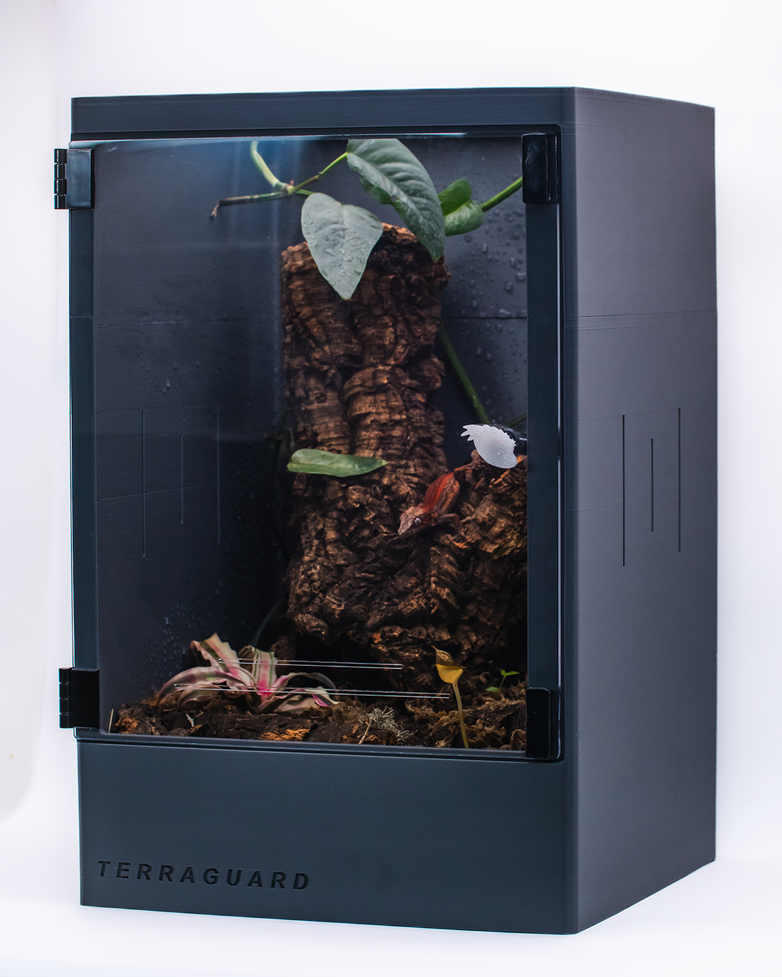 TERRAGUARD HABITATS - Premium Crested Gecko Enclosures ...