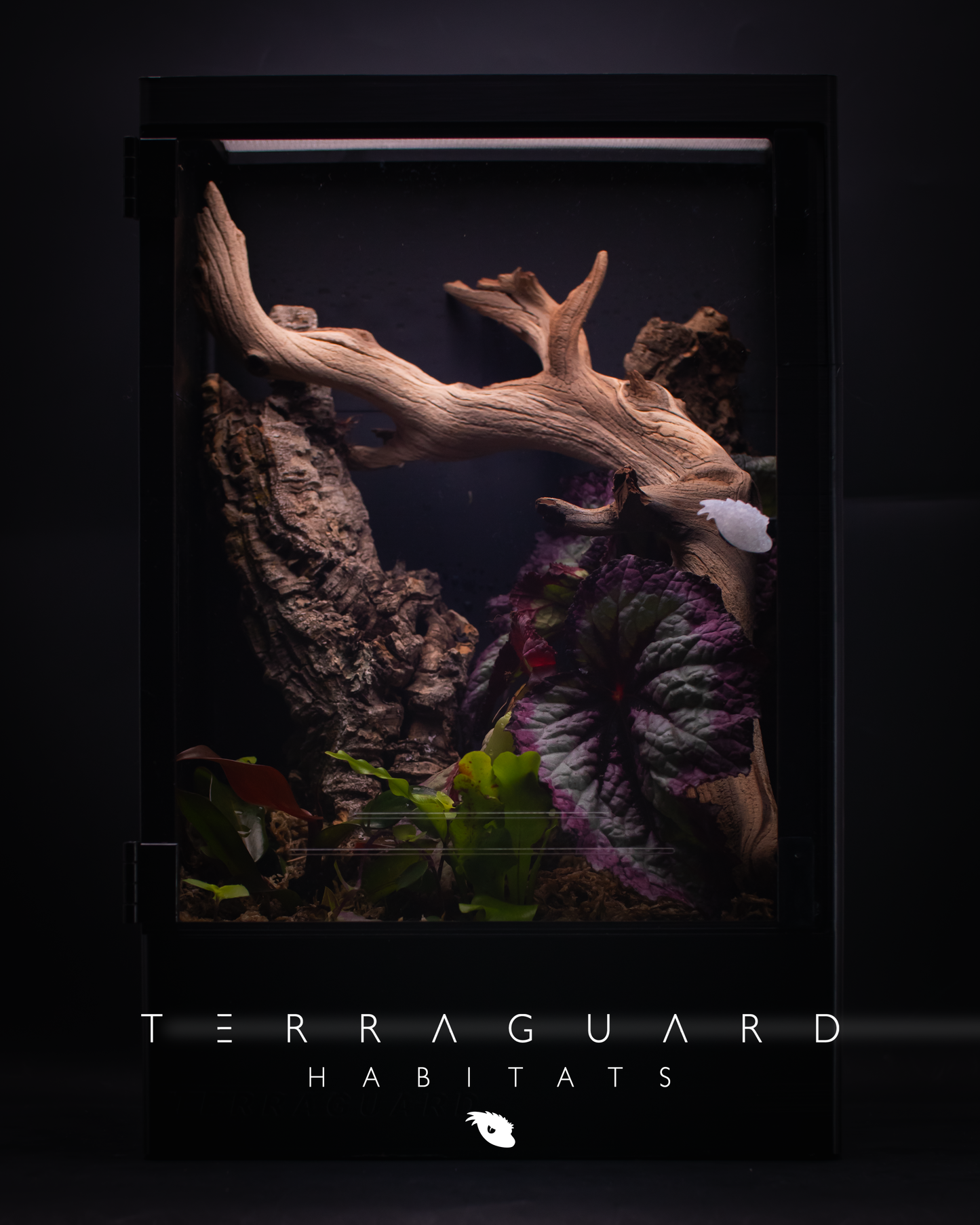 TERRAGUARD HABITATS - Premium Crested Gecko / Arboreal Reptile Enclosures